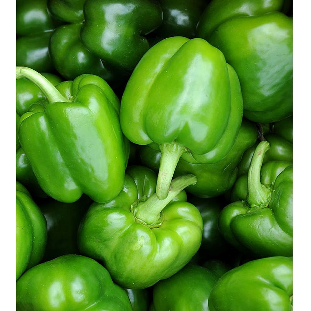 Green Bell Pepper - 500g