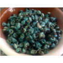 Fresh Periwinkles (Deshelled) 100g