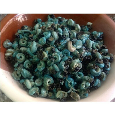 Fresh Periwinkles (Deshelled) 100g