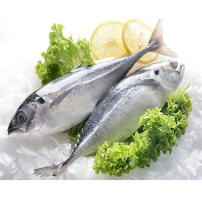 Horse Mackerel Fish (Kote)