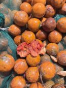 Agbalumo -20pcs