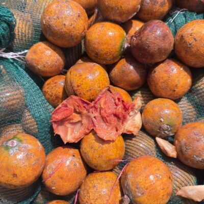 Agbalumo -20pcs