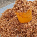 Oron Crayfish (1 Painter)