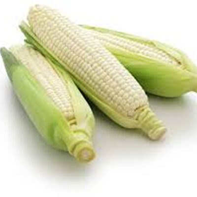 White African Maize