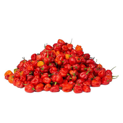 Scotch Bonnet Pepper - Atarodo