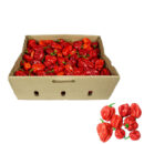 Ugandan Pepper – Atarodo (Half Box)