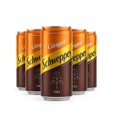 Schweppes Ginger Drink - 33cl*6
