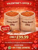 Valentine Offer Deals 2