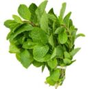 Fresh scent leaf(Efirin)