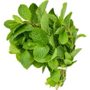 Fresh scent leaf(Efirin)